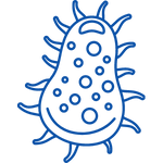 Meningitis